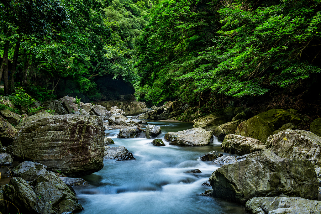 高槻市の自然環境とアクセスの良さ